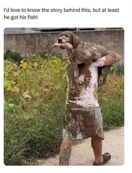 I'd love to know the story behind this, but at least he got his fish!
