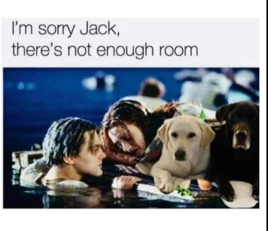 I'm sorry Jack, there's not enough room