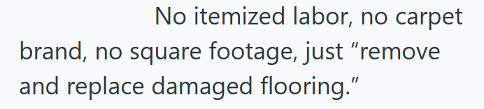 No itemized labor, no carpet brand, no square footage, just "remove and replace damaged flooring."