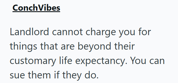 Conch Vibes Landlord cannot charge you for things that are beyond their customary life expectancy. You can sue them if they do.