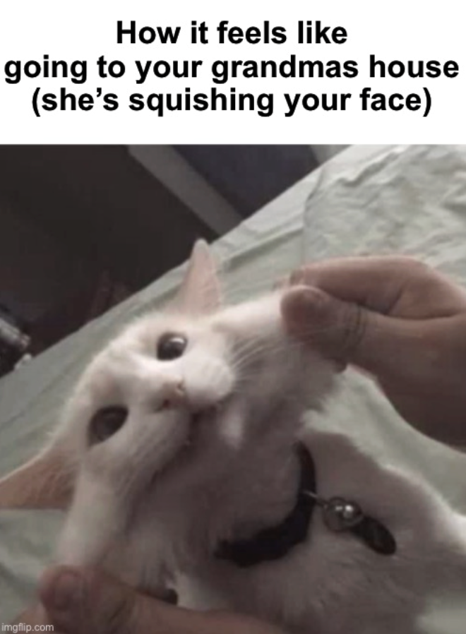 How it feels like going to your grandmas house (she's squishing your face) imgflip.com