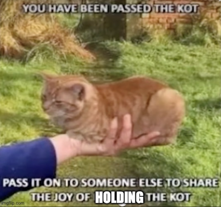 YOU HAVE BEEN PASSED THE KOT PASS IT ON TO SOMEONE ELSE TO SHARE THE JOY OF HOLDING THE KOT Imgflip.com