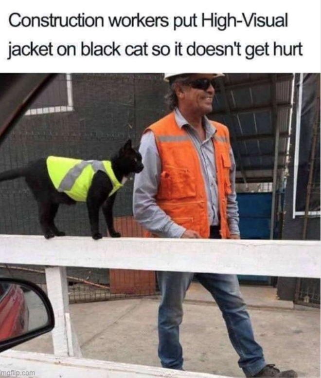 Construction workers put High-Visual jacket on black cat so it doesn't get hurt imgflip.com