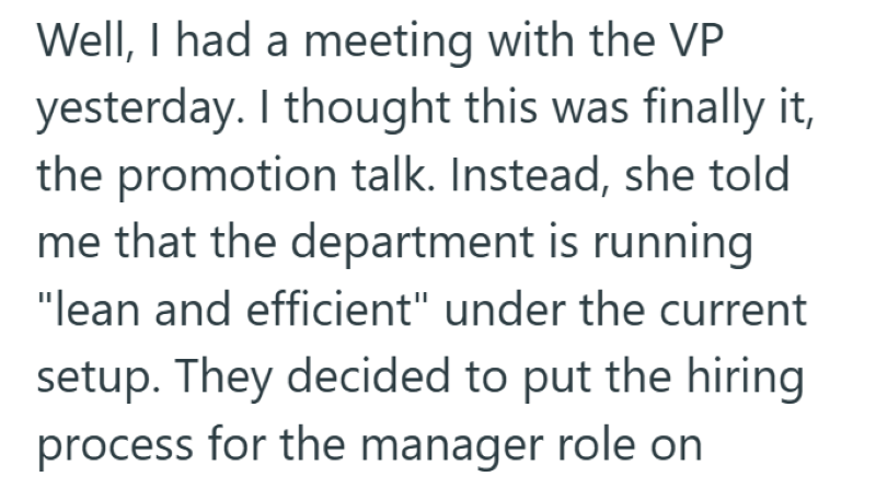 Well, I had a meeting with the VP yesterday. I thought this was finally it, the promotion talk. Instead, she told me that the department is running "lean and efficient" under the current setup. They decided to put the hiring process for the manager role on