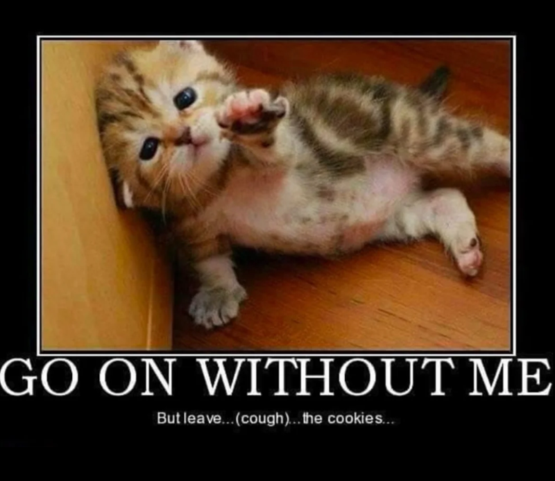GO ON WITHOUT ME But leave...(cough)... the cookies...