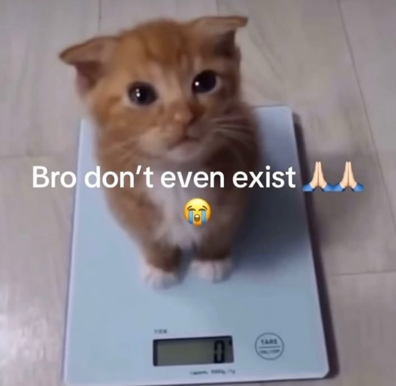 Bro don't even exist TARE