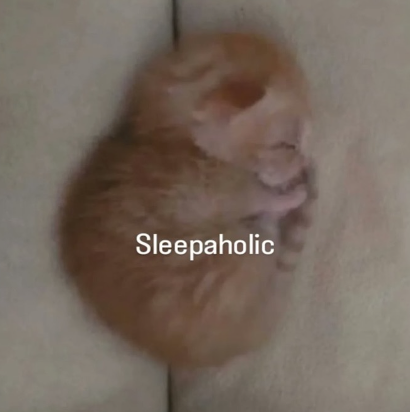 Sleepaholic