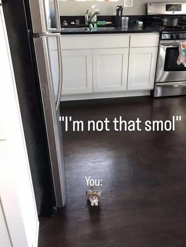 "I'm not that smol" @cate and cowboy hats You: