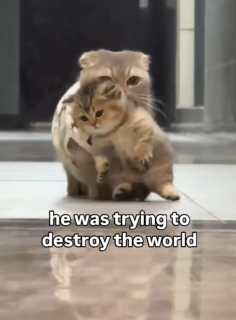 he was trying to destroy the world