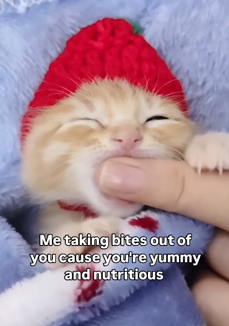 Me taking bites out of you cause you're yummy and nutritious