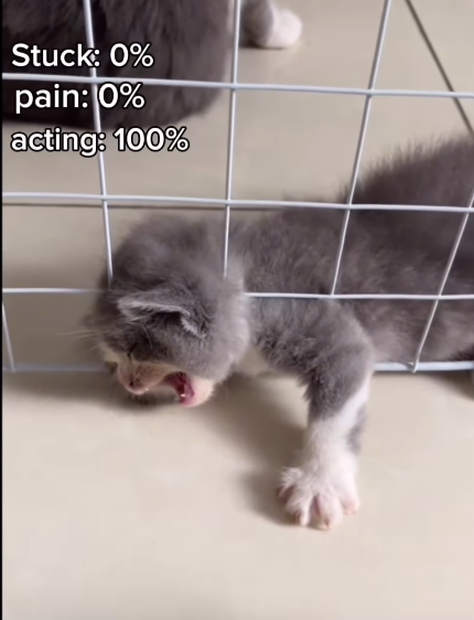 Stuck: 0% pain: 0% acting: 100%
