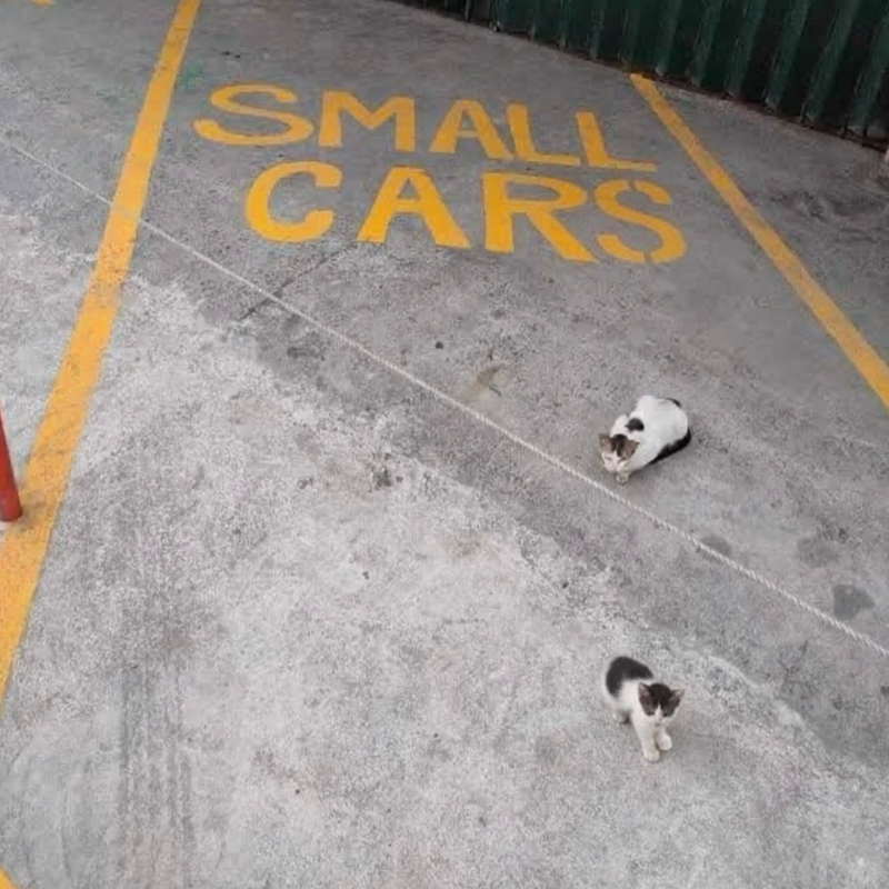 SMALL CARS
