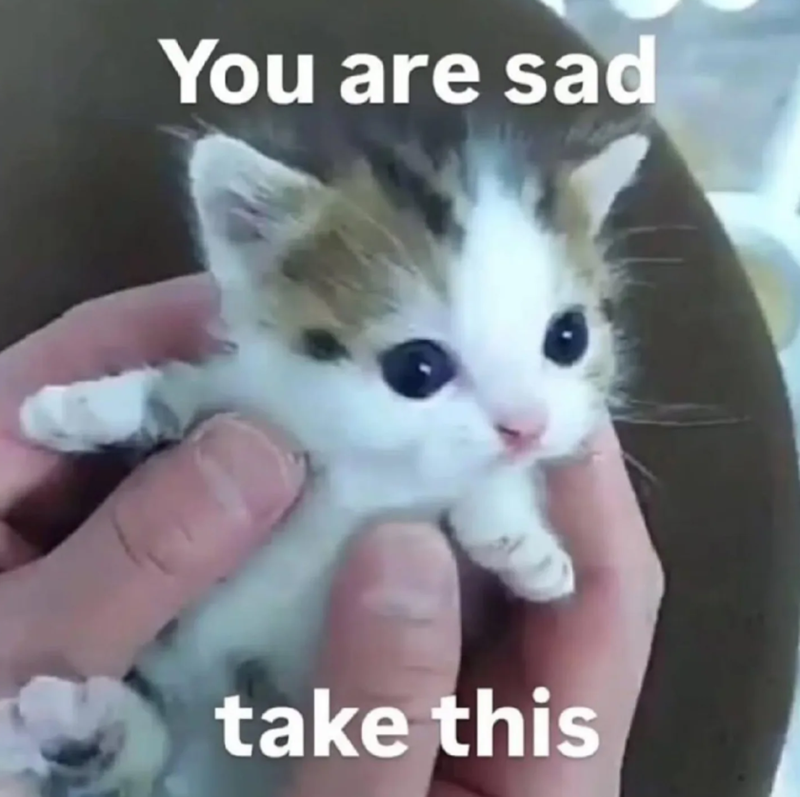 You are sad take this