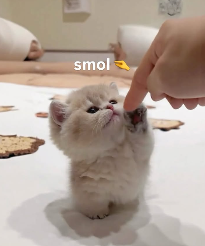 smol