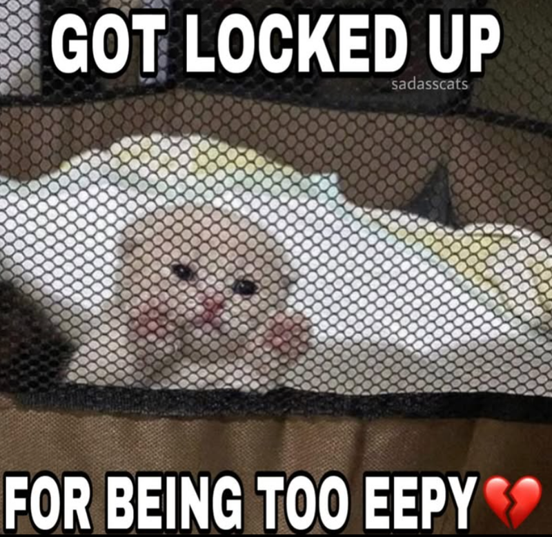 GOT LOCKED UP sadasscats FOR BEING TOO EEPY❤