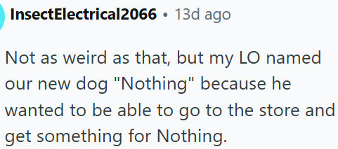 InsectElectrical2066 13d ago Not as weird as that, but my LO named our new dog "Nothing" because he wanted to be able to go to the store and get something for Nothing.