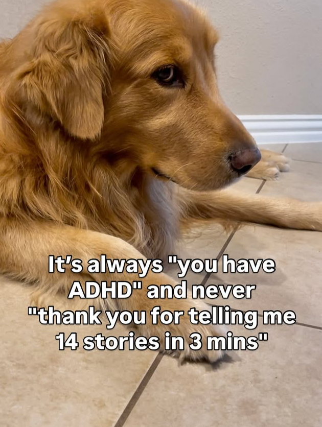 It's always "you have ADHD" and never "thank you for telling me 14 stories in 3 mins"