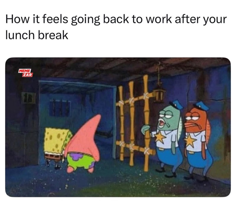 How it feels going back to work after your lunch break MEME ZAR
