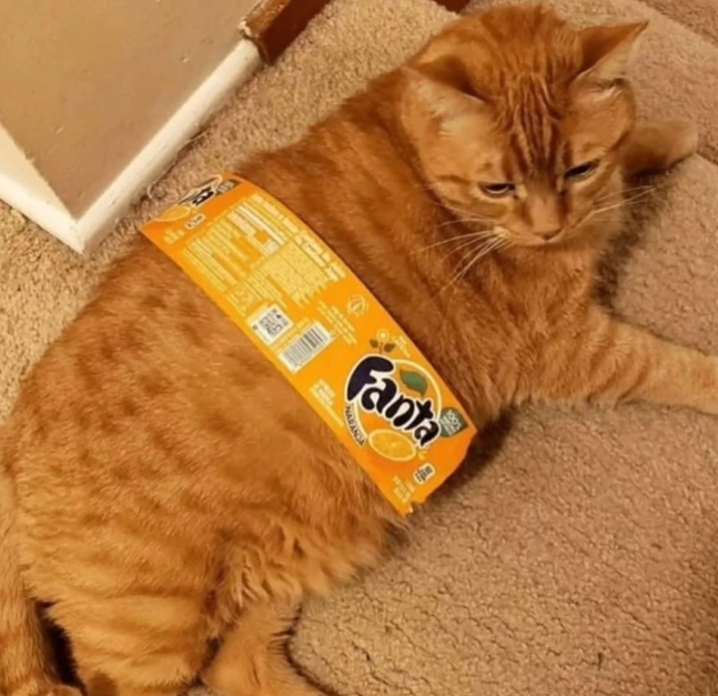 C Fanta