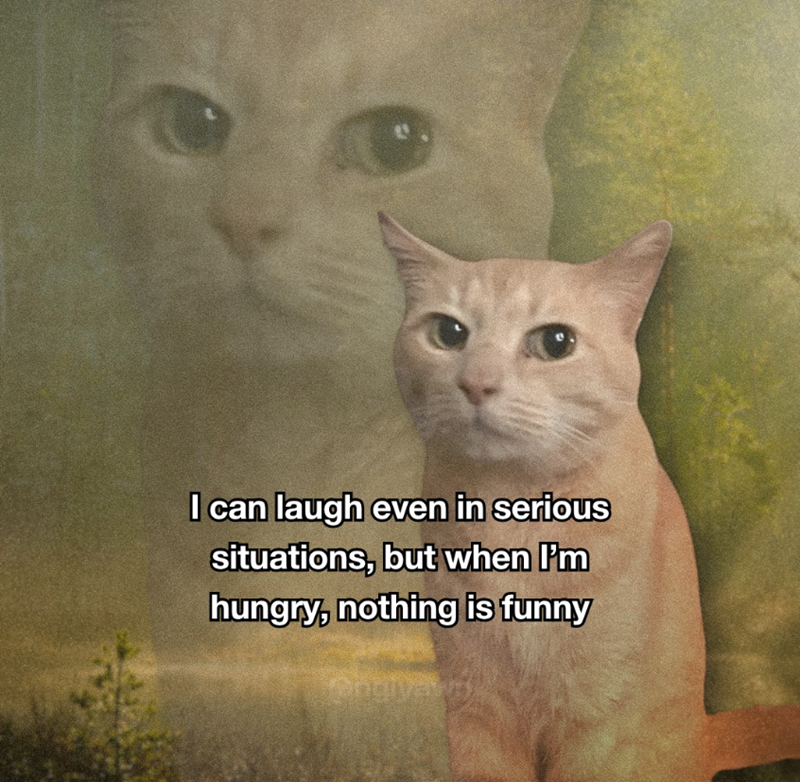 I can laugh even in serious situations, but when I'm hungry, nothing is funny