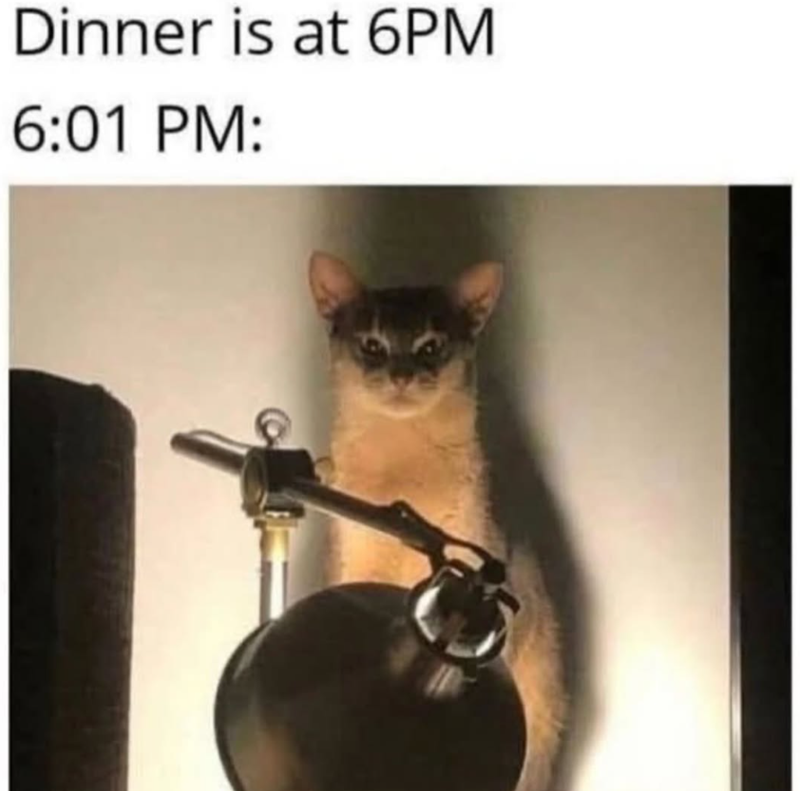 Dinner is at 6PM 6:01 PM: