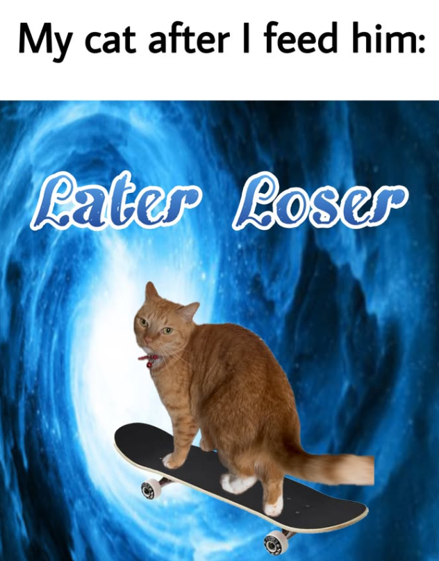 My cat after I feed him: Pater Loser