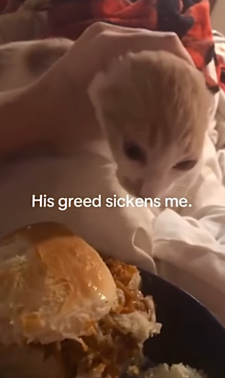 His greed sickens me.