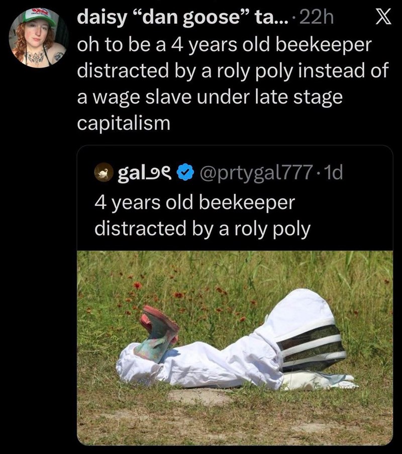 daisy ❝dan goose" ta.... 22h X oh to be a 4 years old beekeeper distracted by a roly poly instead of a wage slave under late stage capitalism gal@prtygal777.1d 4 years old beekeeper distracted by a roly poly