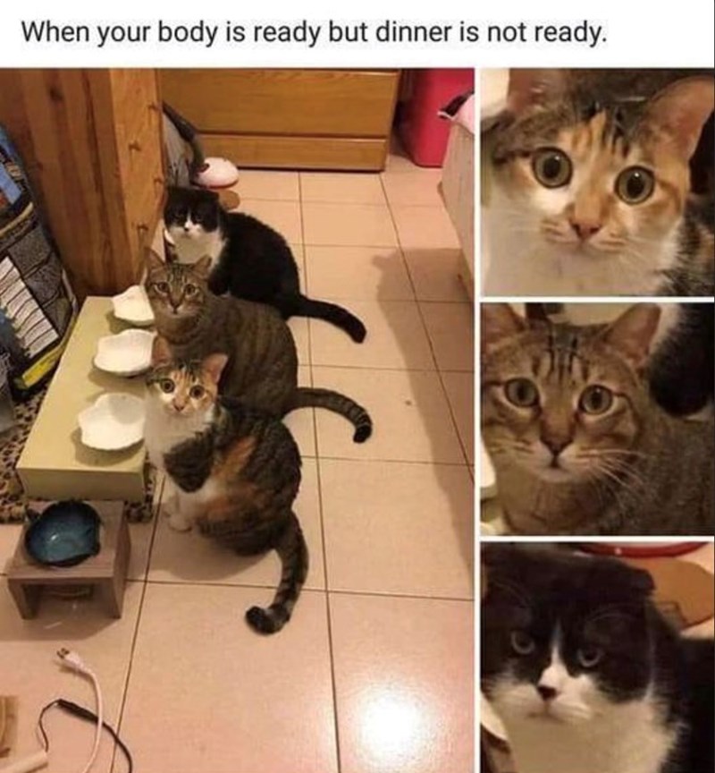 When your body is ready but dinner is not ready.