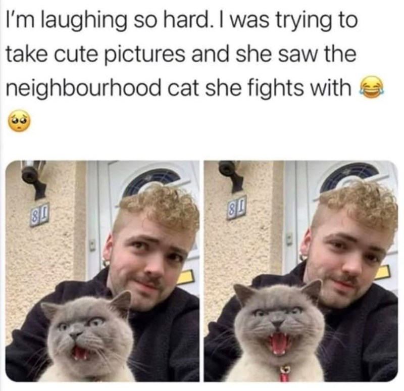 I'm laughing so hard. I was trying to take cute pictures and she saw the neighbourhood cat she fights with 81 81