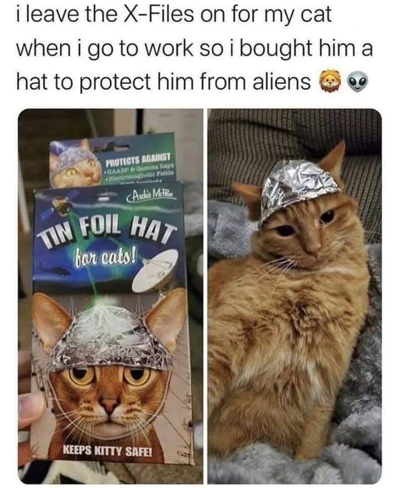 i leave the X-Files on for my cat when i go to work so i bought him a hat to protect him from aliens PROTECTS AGAINST HAARP & Gamma flays Electromagnetic Fields Archie Me TIN FOIL HAT for cats! KEEPS KITTY SAFE!