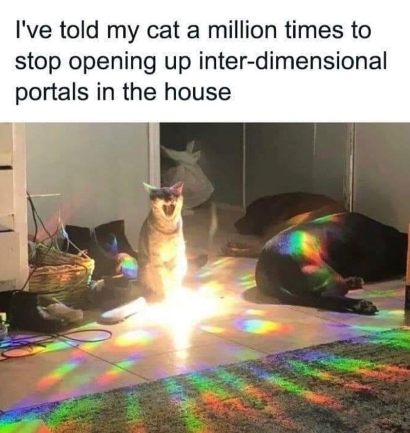I've told my cat a million times to stop opening up inter-dimensional portals in the house