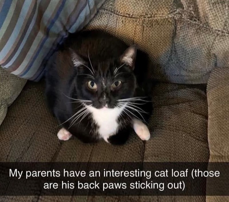 My parents have an interesting cat loaf (those are his back paws sticking out)