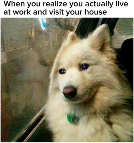 When you realize you actually live at work and visit your house