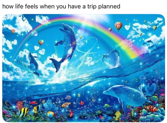 how life feels when you have a trip planned