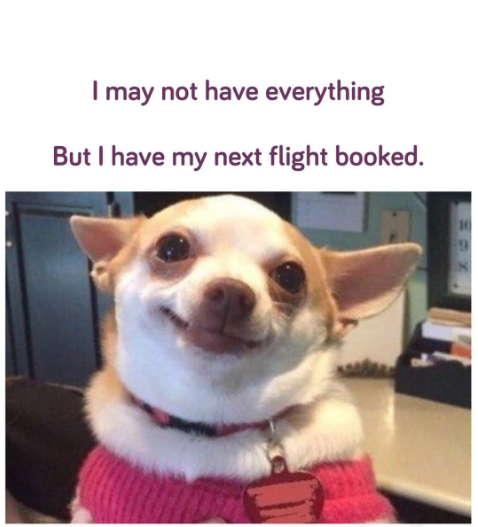 I may not have everything But I have my next flight booked.