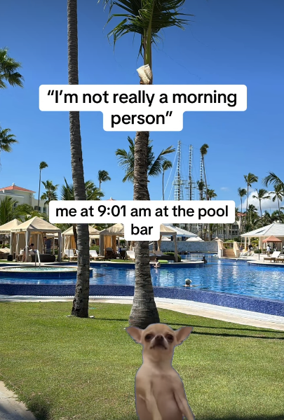 "I'm not really a morning person" me at 9:01 am at the pool bar