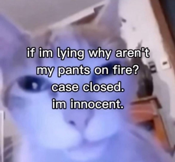 if im lying why aren't my pants on fire? case closed. im innocent.
