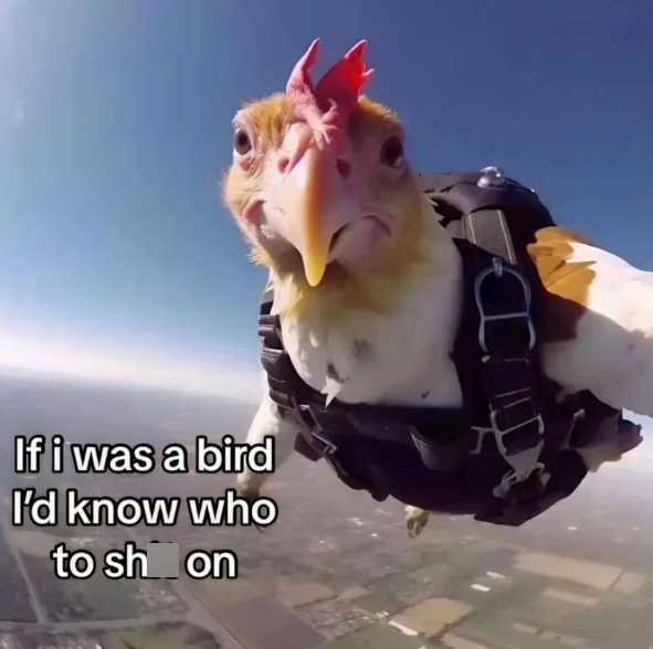 If i was a bird I'd know who to sh on D
