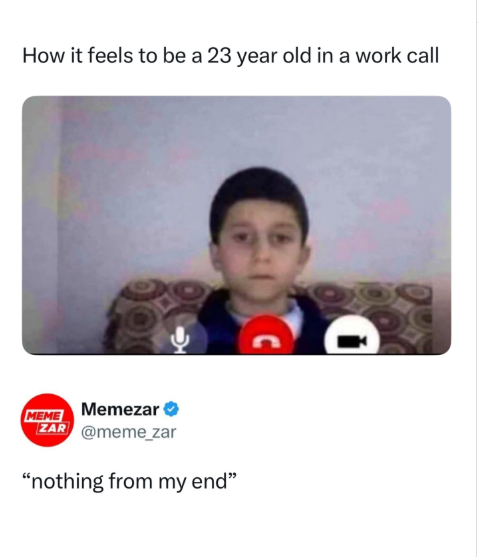 How it feels to be a 23 year old in a work call C MEME Memezar ZAR @meme_zar "nothing from my end"