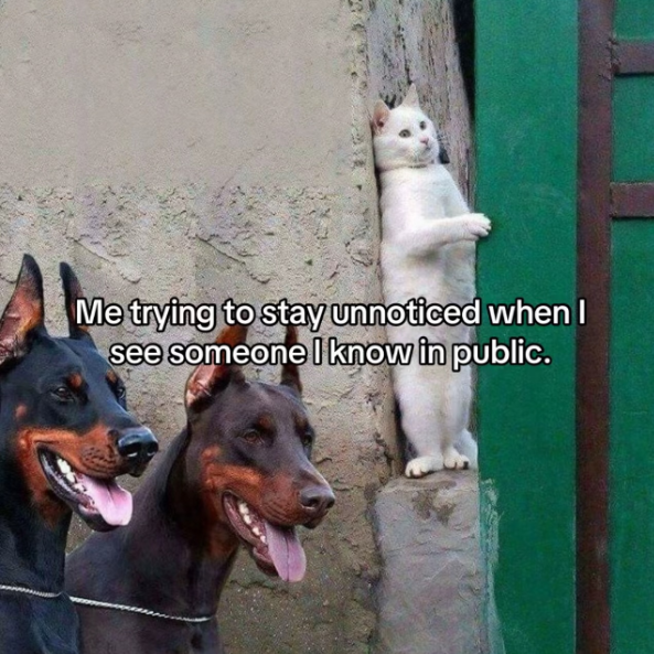 Me trying to stay unnoticed when I see someone I know in public.