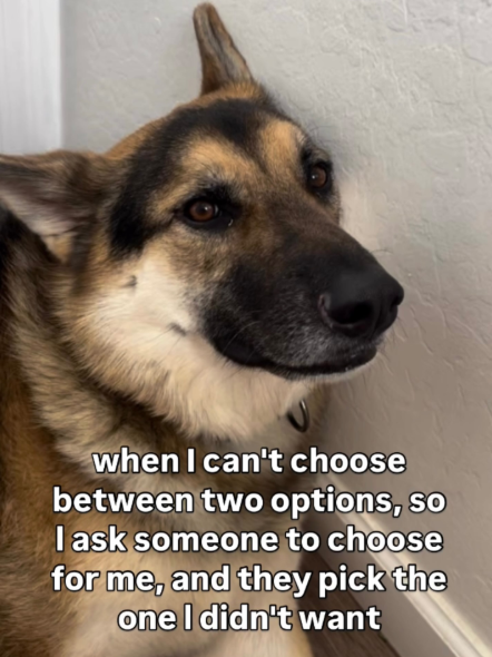 when I can't choose between two options, so I ask someone to choose for me, and they pick the one I didn't want