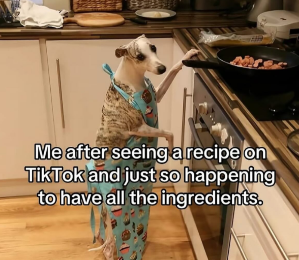 Me after seeing a recipe on TikTok and just so happening to have all the ingredients.