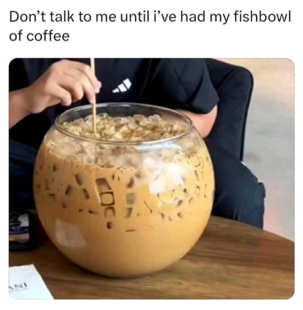 ANI Don't talk to me until i've had my fishbowl of coffee