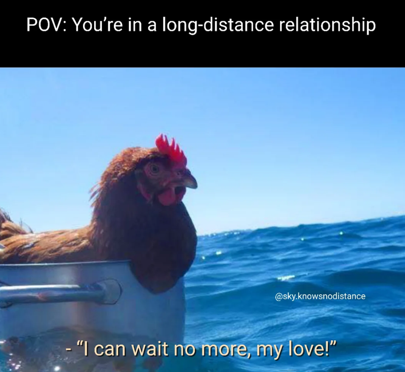 POV: You're in a long-distance relationship @sky.knowsnodistance - "I can wait no more, my love!"