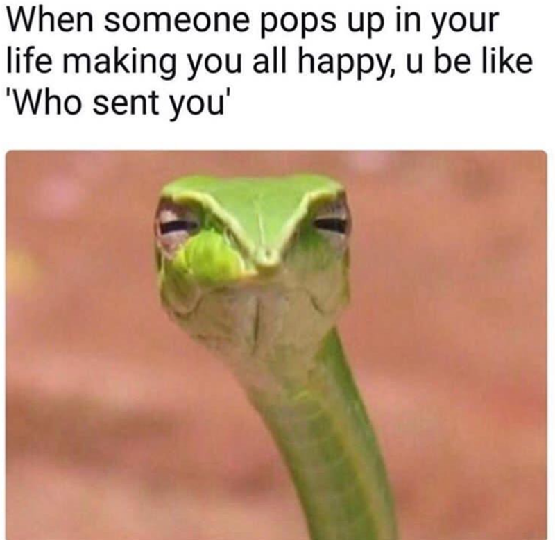 When someone pops up in your life making you all happy, u be like 'Who sent you'