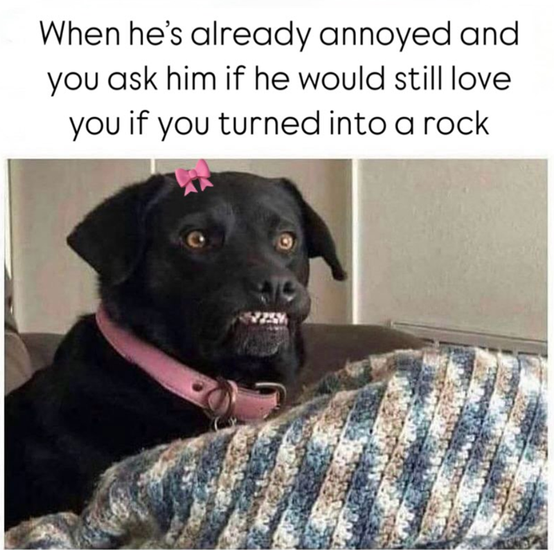 When he's already annoyed and you ask him if he would still love. you if you turned into a rock