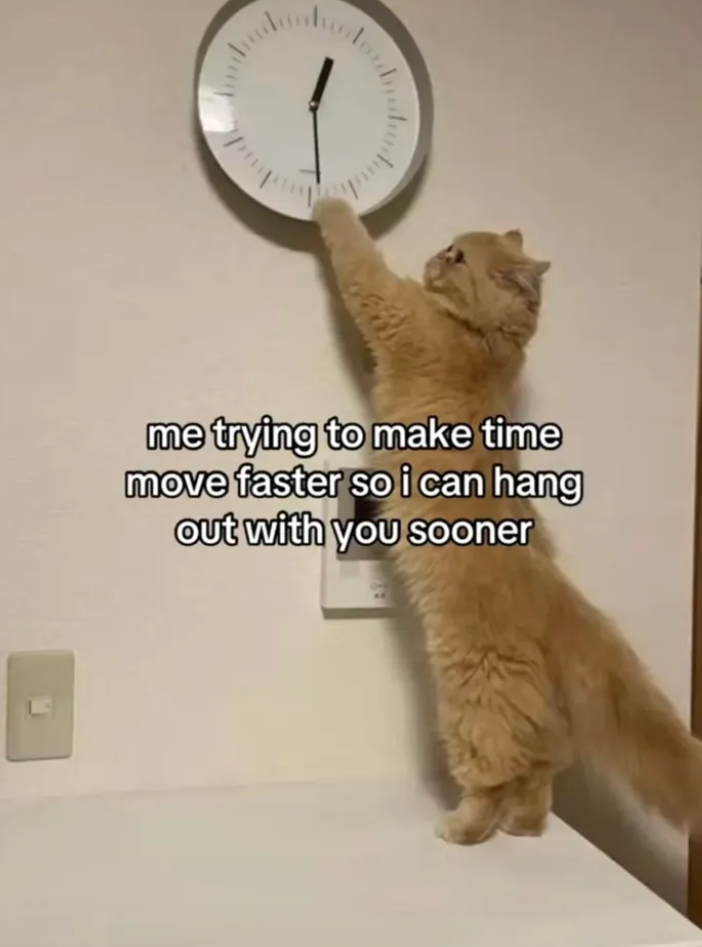 me trying to make time move faster so i can hang out with you sooner