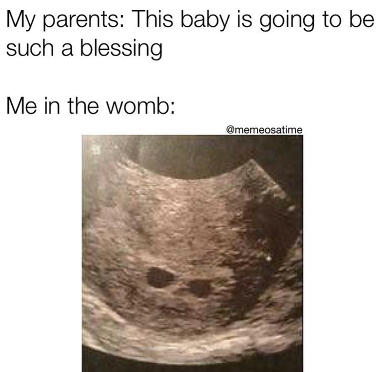 My parents: This baby is going to be such a blessing Me in the womb: @memeosatime