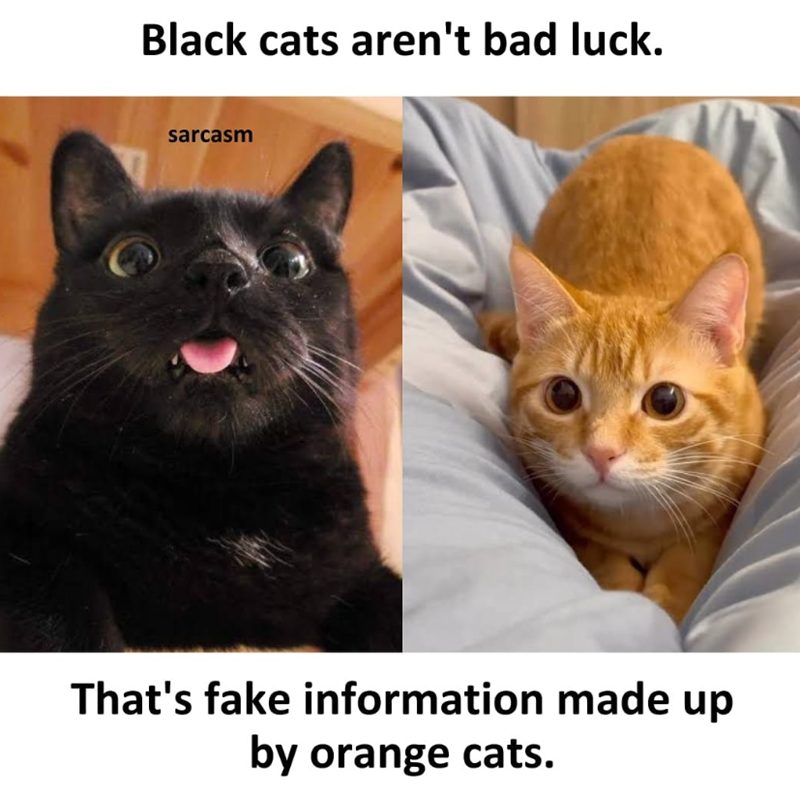 Black cats aren't bad luck. sarcasm That's fake information made up by orange cats.